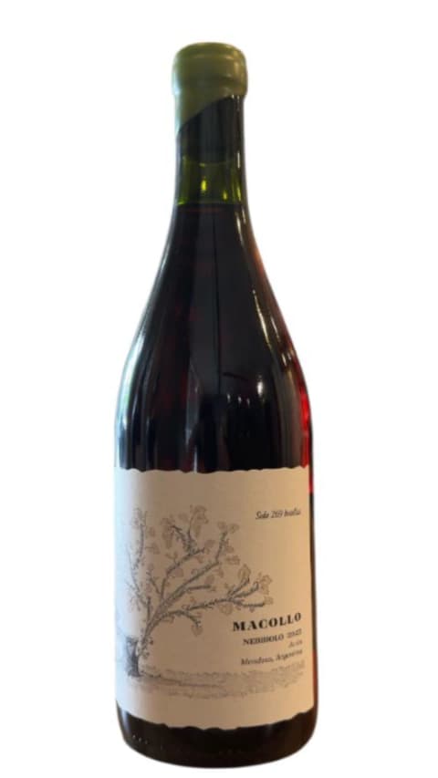 Macollo Nebbiolo 2025