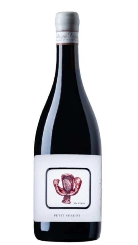 Macollo Petit Verdot 2022