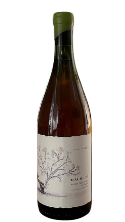 Macollo Pinot Gris 2024