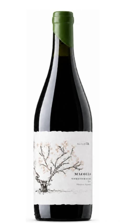 Macollo Verdicchio 2025