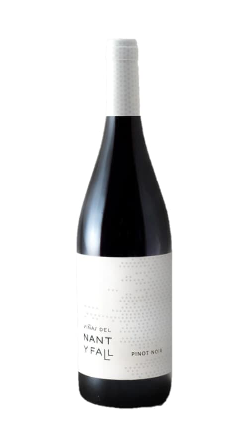 Viñas del Nant y Fall Pinot Noir 2019