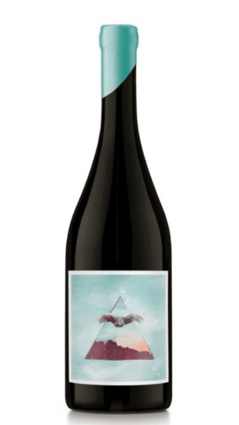 Nodo Pinot Noir de Gualtallary 2024