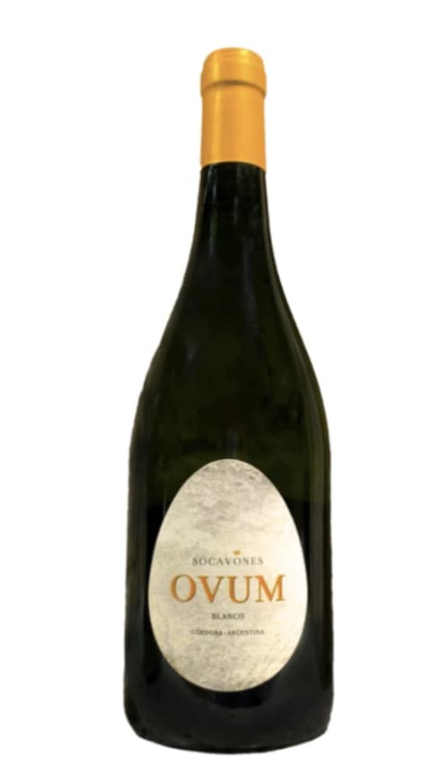 Terra Camiare Ovum Reserva Blanco 2024