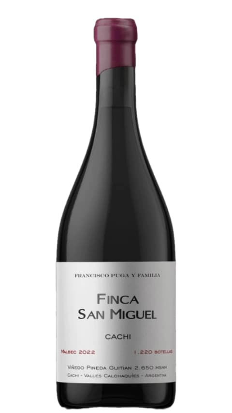 Francisco Puga Malbec Finca San Miguel Cachi 2022