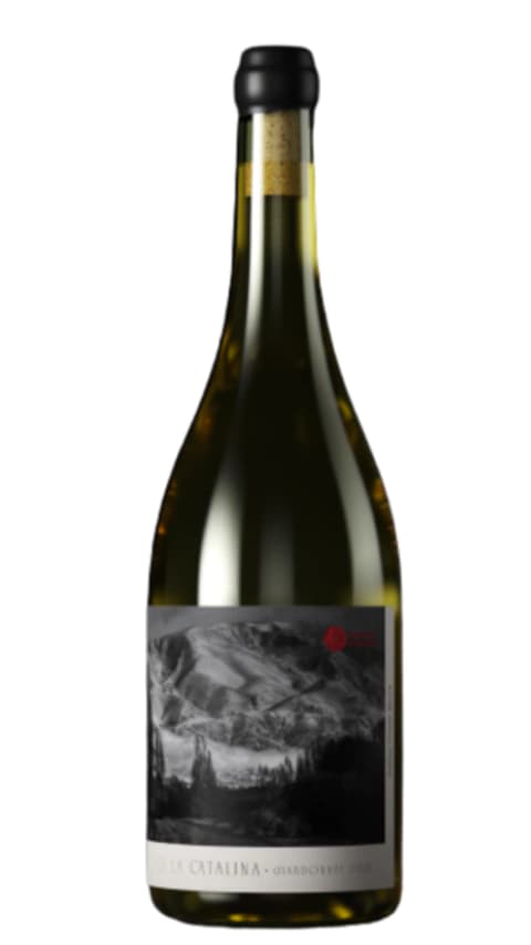 Proyecto Circulares Chardonnay 2021