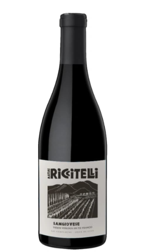 Matías Riccitelli Viejos Viñedos en Pie Franco Sangiovese 2024