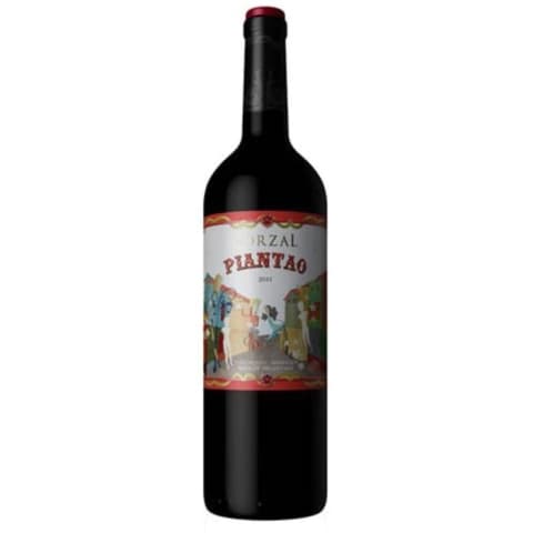 ZORZAL PIANTAO CABERNET FRANC