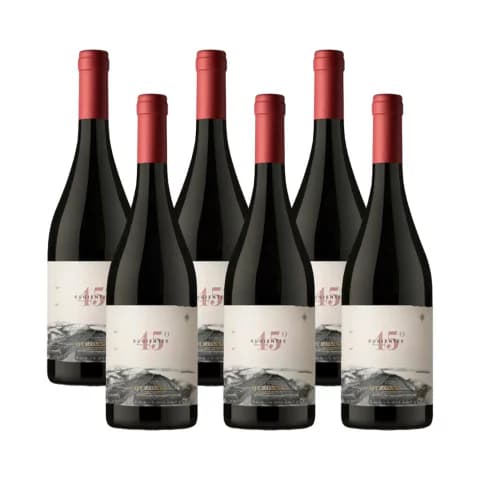 45 RUGIENTES CORTE DE PINOT NOIR CAJA x 6UN