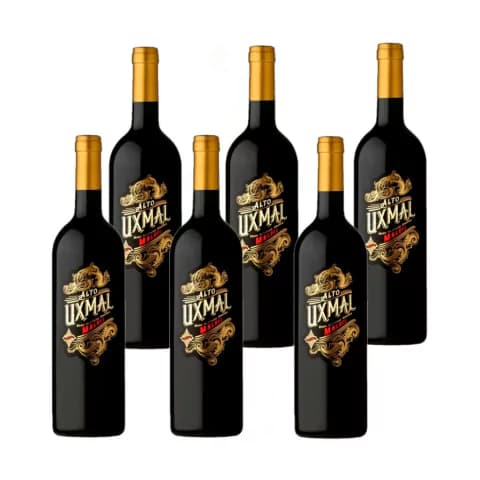 ALTO UXMAL MALBEC CAJA x 6u