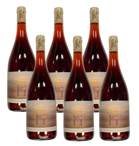 AMIGUITO GARNACHA - CAJA x 6UN - BODEGA ALEANNA