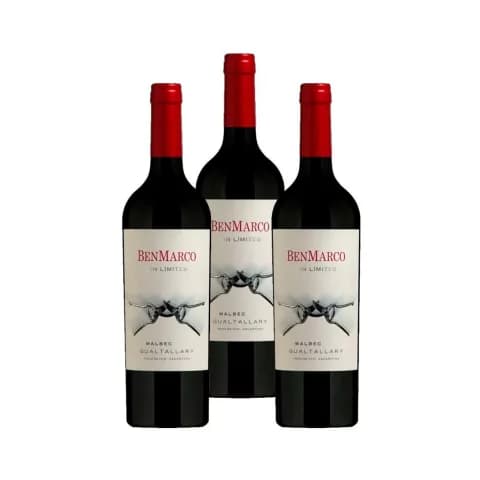 BENMARCO SIN LIMITE MALBEC GUALTALLARY CAJA x 3u