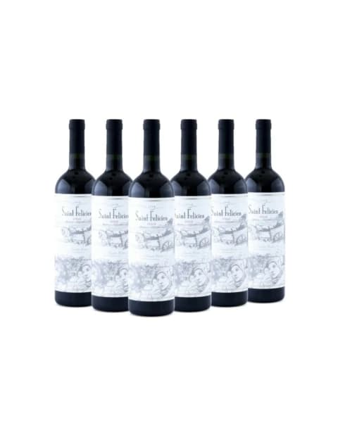 SAINT FELICIEN SYRAH CAJA X 6U