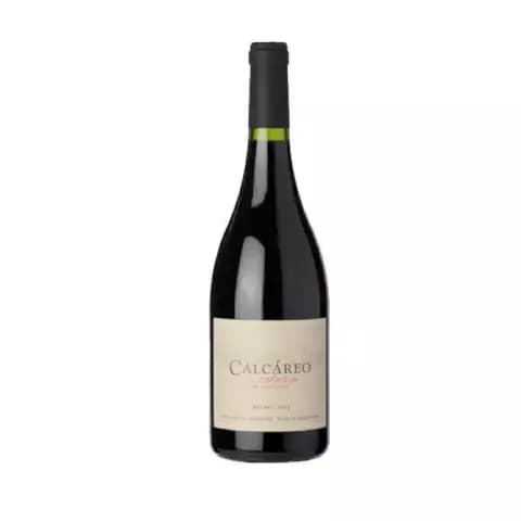 Calcáreo Coluvio Malbec
