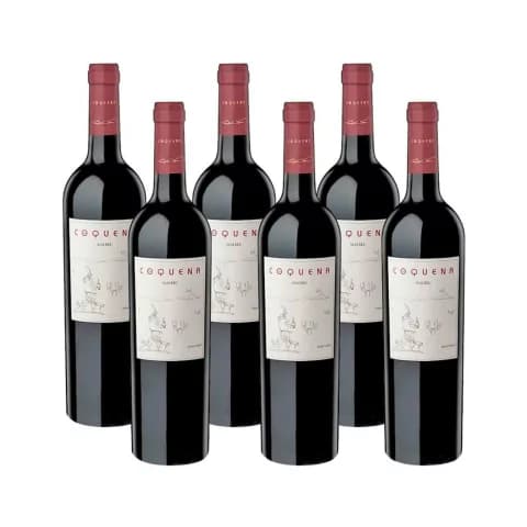 COQUENA MALBEC CAJA x 6 un