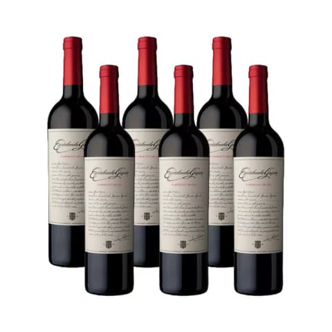 Escorihuela Gascón Cabernet Franc