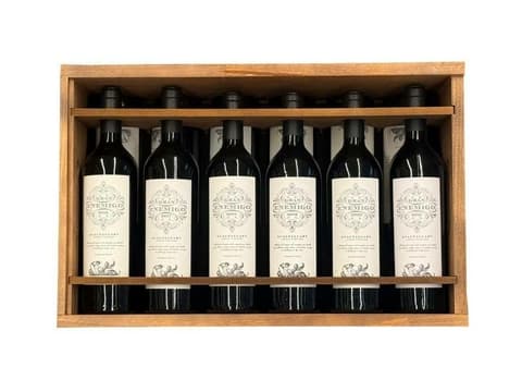 ESTUCHE GRAN ENEMIGO GUALTALLARY X12 BOT - VERTICAL 2010 AL 2021
