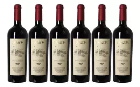 GARZON SINGLE V. TANNAT CAJA X 6UN
