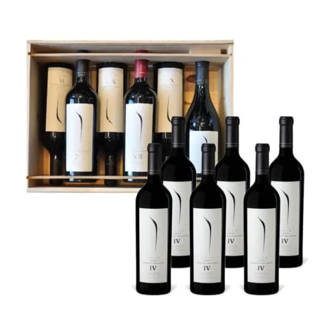 PULENTA COLECCION GRAN MIX ESTUCHE X 6 UN