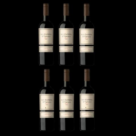 DV CATENA L ’ESPLORATORE MALBEC CAFAYATE SALTA CAJA X 6 UN