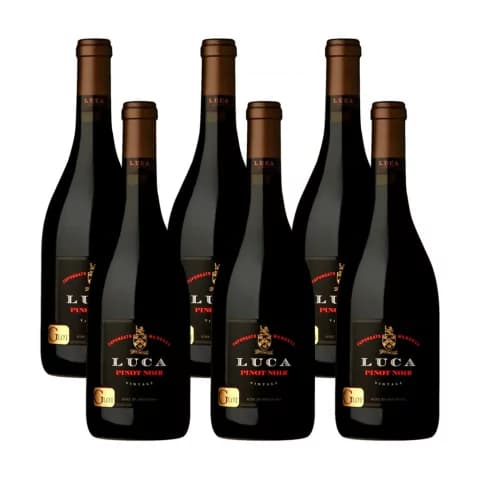 LUCA PINOT NOIR - CAJA X 6u.