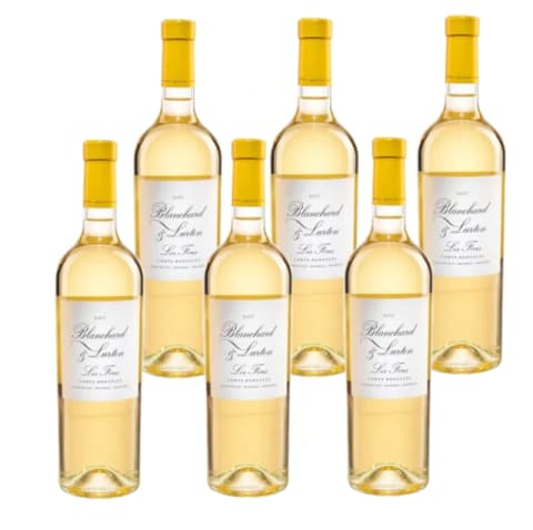 BLANCHARD & LURTON LES FOUS SAUVIGNON BLANC CAJA X 6 UN
