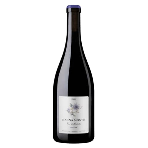 Magna Montis Cabernet Franc San Pablo 2022
