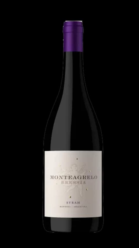 MONTEAGRELO SYRAH