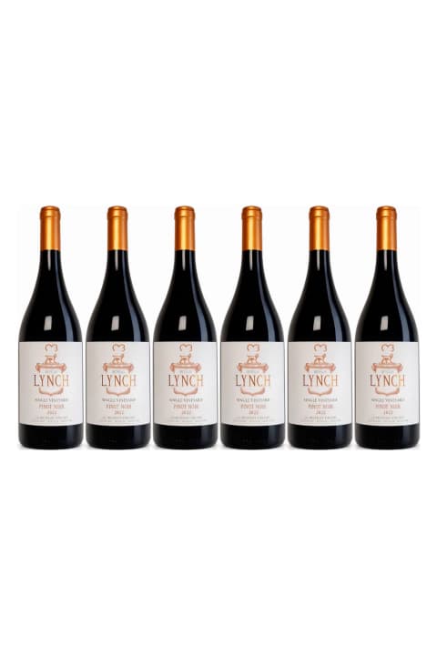 BENEGAS SINGLE VINEYARD PINOT NOIR CAJA X 6 UN