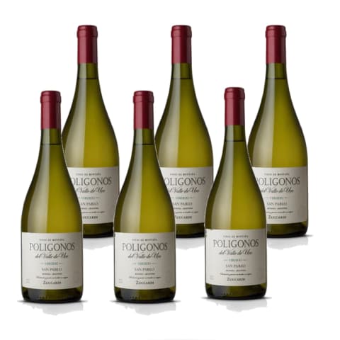 ZUCCARDI POLIGONOS SAN PABLO VERDEJO CAJA X 6 UN