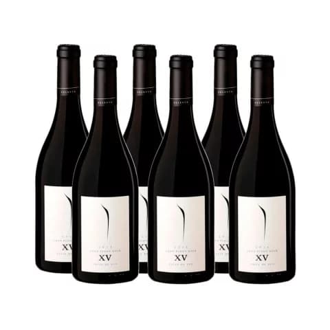 PULENTA GRAN PINOT NOIR CAJA x 6UN