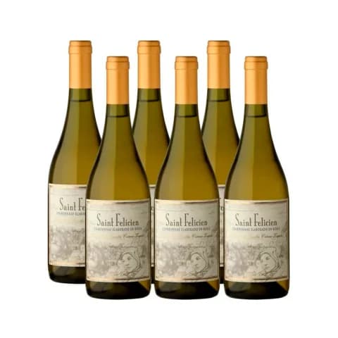 SAINT FELICIEN CHARDONNAY CAJA x 6u