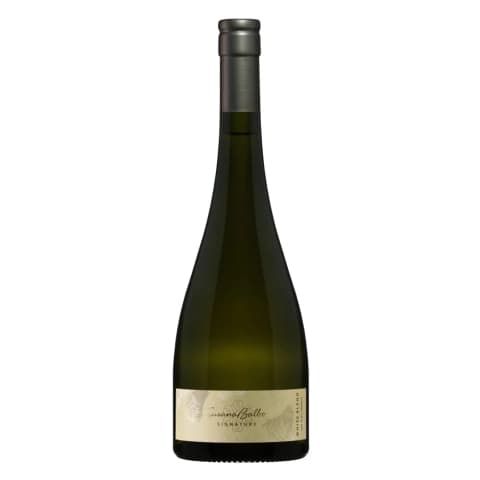 SUSANA BALBO SIGNATURE WHITE BLEND