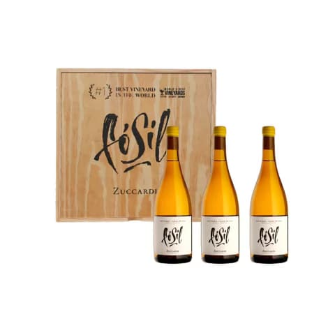 Zuccardi Fosil Chardonnay