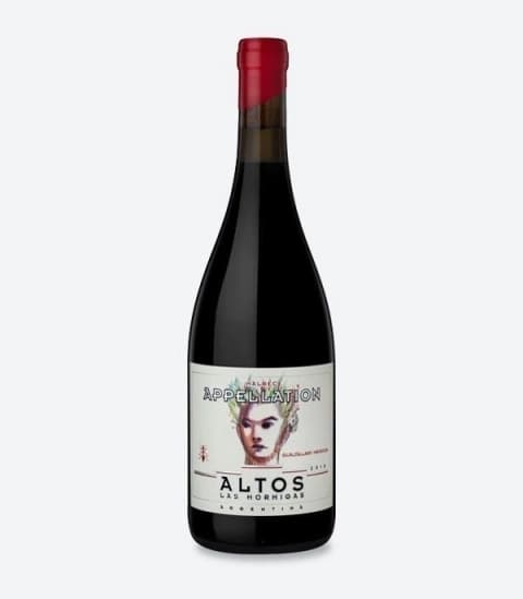 ALTO LAS HORMIGAS APPELLATION GUALTALLARY caja X 6