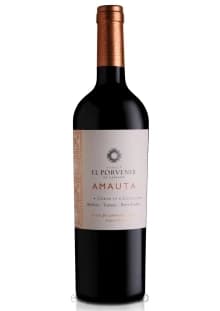 AMAUTA CORTE IV - INNOVACIÓN