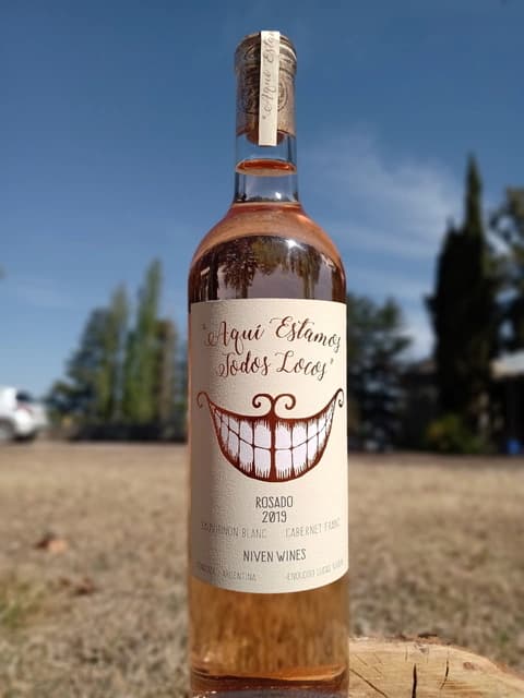 AQUÍ ESTAMOS TODOS LOCOS ROSADO