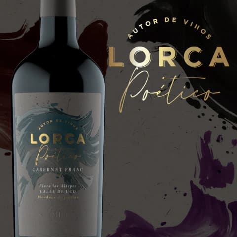 POETICO CABERNET FRANC caja x 6