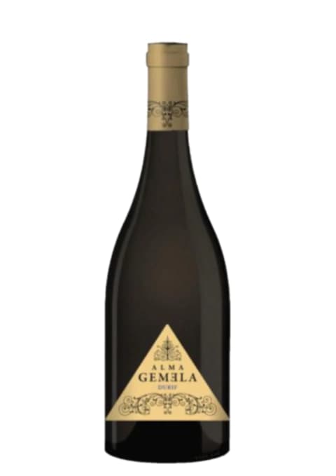 Onofri Wines "Alma Gemela" Teroldego (Chacayes)