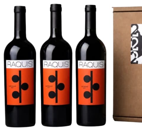 Experiencia Vertical: Raquis "Las Bases" by Andrés Vignoni