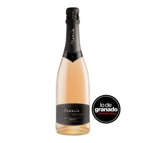 ESPUMANTE MARIA CODORNIU HANDCRAFT EDICION LIMITADA