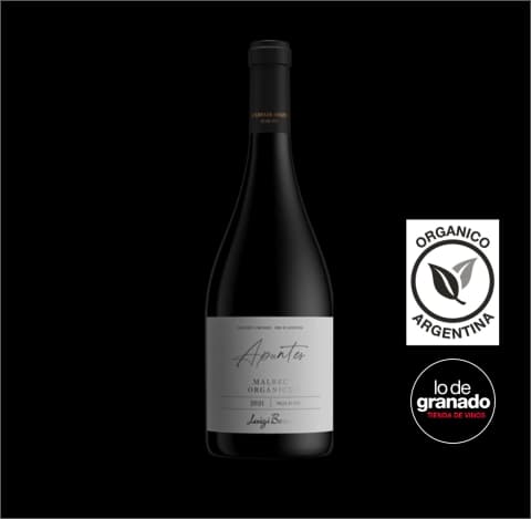 LUIGI BOSCA APUNTES CABERNET SAVIGNON VALLE DE CANOTA