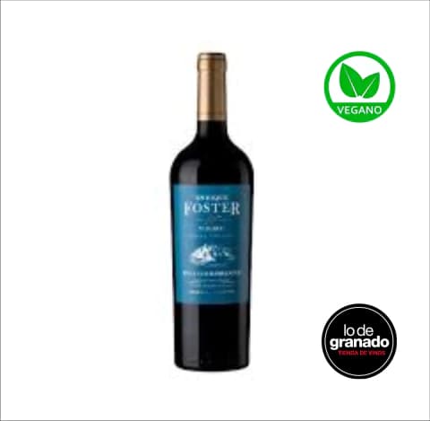 ENRIQUE FOSTER SINGLE VINEYARD LOS BARRANCOS Malbec