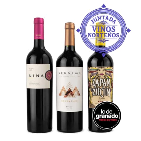 Combo Norte Argentino