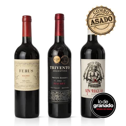 Combo Asadaso con Malbec