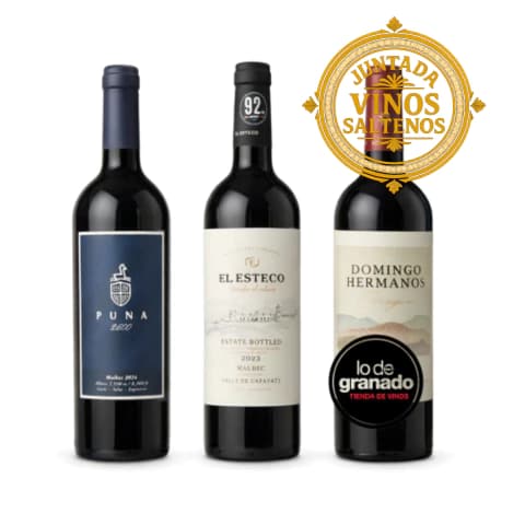 Combo de vinos Salteños
