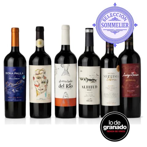 Set de seis botellas de vino tinto elegidos por nuestro sommelier