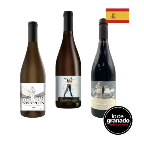 Pack Especial Vinos Españoles by Mauricio Lorca
