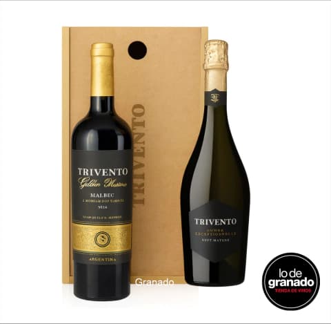Estuche TRIVENTO GOLDEN Madera CON ESPUMANTE 2 Botellas