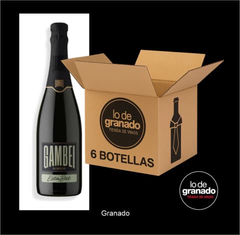 Gambei Extra Brut By Bodega Norton por caja de 6 unidades
