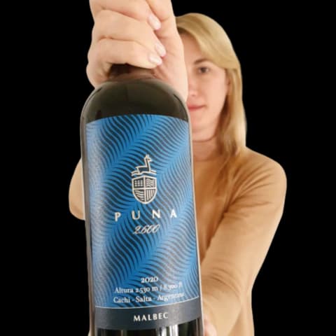 Puna Malbec Salta 2600 MSNM Bodega Puna